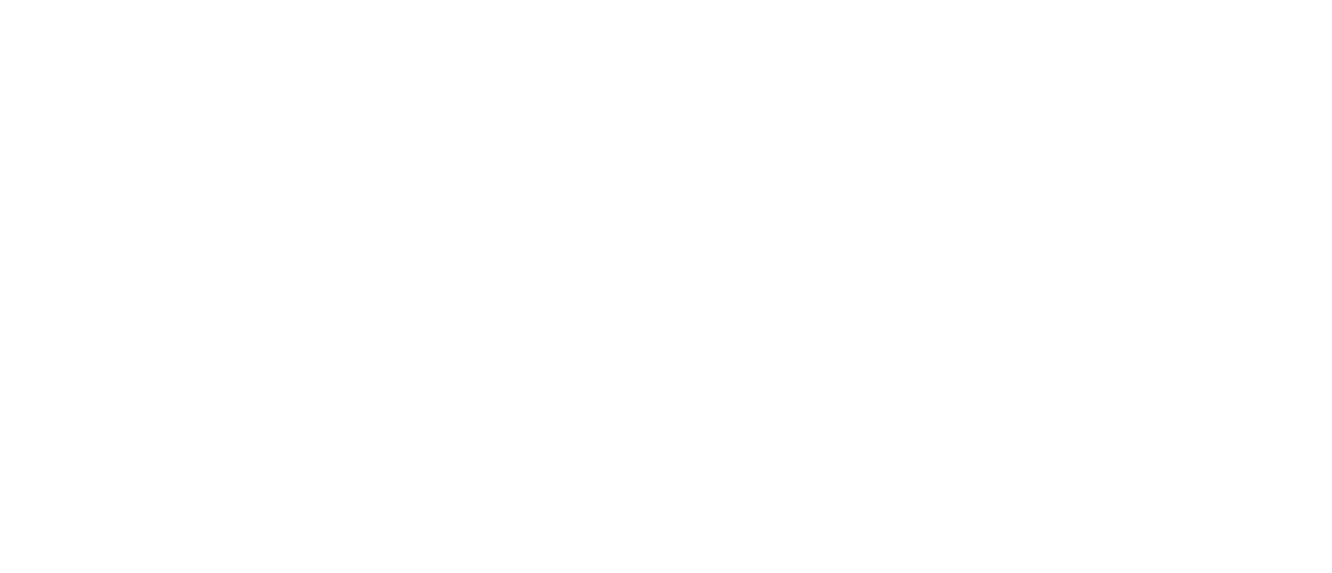 ŽELEZIARSTVO IWON - Logo